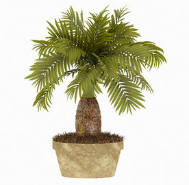 小型棕榈树盆景模型