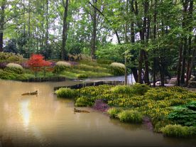 跌水景观生态滨河