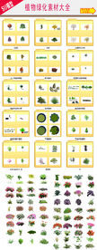 园林绿化植物绿化全集