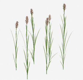 室外野花野草模型