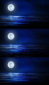 唯美中秋月亮动态节目背景