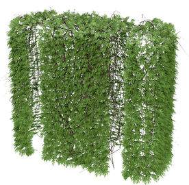 室外藤蔓植物模型