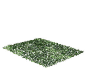 绿色草坪模型
