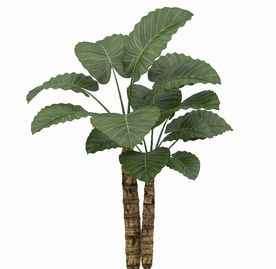 室外大叶植物模型