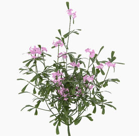 绿化带花丛模型