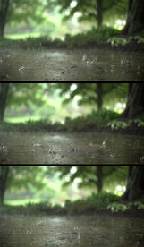 林中的雨滴实拍慢镜头