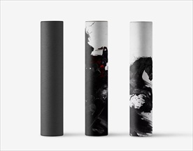 实用礼盒VI包装vi样机效果图