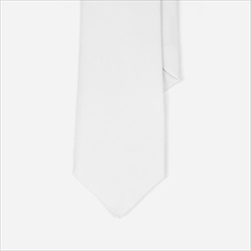 绿色干净商务办公VI领带