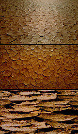 干旱的土地实拍视频素材