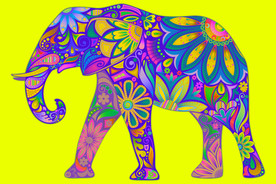 超巨大异域民族风彩色大象