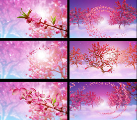 唯美花瓣飘逸桃花林视频素材