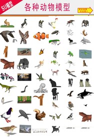 动物模型各种小动物模型