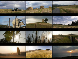 拖拉机农场庄园风景视频素材