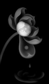 荷花玉雕浮雕精雕灰度46牌