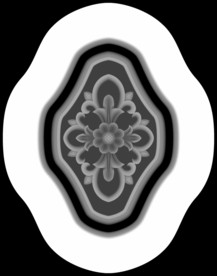 门上洋花精雕灰度