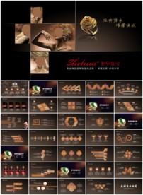 珠宝奢侈品ppt