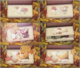 金秋回忆翻页相册