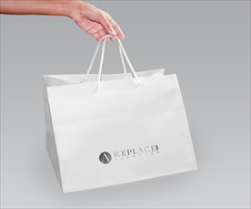 手提袋展示样机