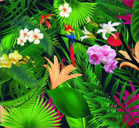 热带雨林鹦鹉背景墙画