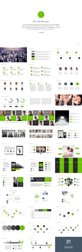 国外项目分析PPT模板