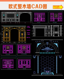 欧式护墙CAD图纸