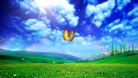 唯美草原草地动态视频背景