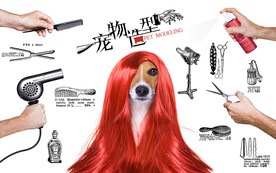 宠物造型背景墙