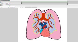 血液充裕心脏跳动10秒动画