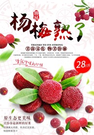 天然杨梅海报设计