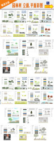 PSD园林植物立面彩平图