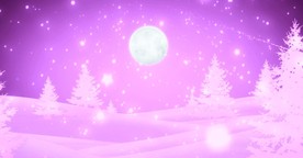梦幻雪花月色