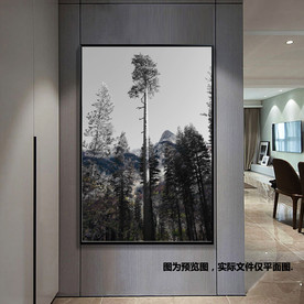 黑白个性风景树林无框画装饰画