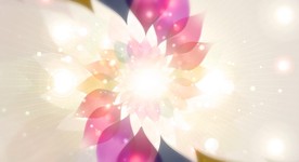 白色唯美旋转花朵