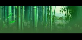 竹林-唯美