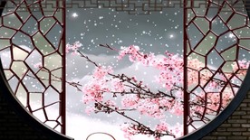 中国风墙外雪中梅花