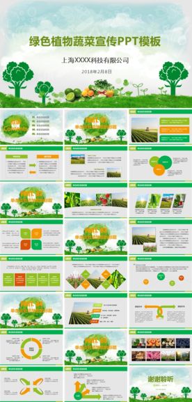绿色清新健康养生水果蔬菜PPT
