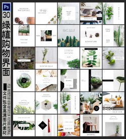 绿色植物界面设计