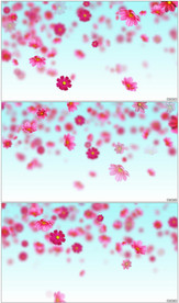 唯美浪漫婚礼花朵飘落背景视频