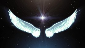 大气梦想舞台深灰翅膀