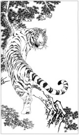 老虎 白描 素描 线描 国画