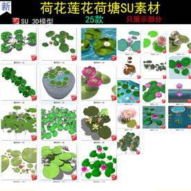 荷花莲花荷塘模型