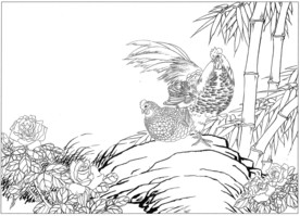 锦鸡 白描 素描 线描 国画稿