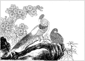 锦鸡 白描 素描 线描 国画稿