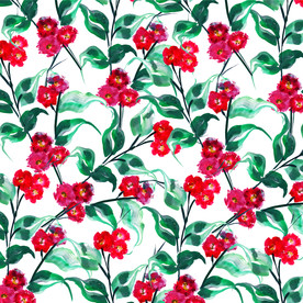 红色花卉植物 水彩花卉图案