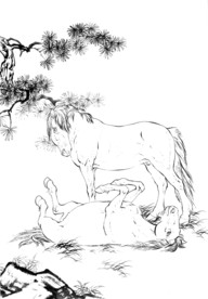 骏马 素描 白描 线描 国画稿