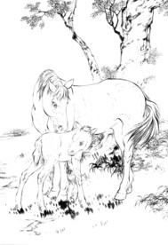 骏马 素描 白描 线描 国画稿