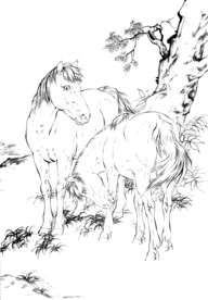 骏马 素描 白描 线描 国画稿