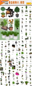 植物SU模型