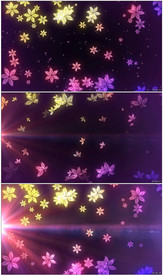 浪漫爱情花朵纷飞婚庆唯美背景