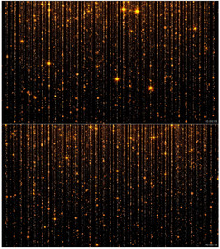 4K大气震撼金色粒子颁奖背景